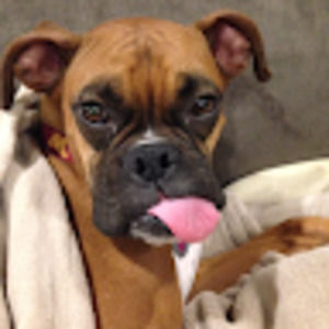 Meet your Posher, Evan